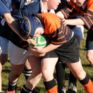 Children's Rugby: Interesting Facts & Ideas
